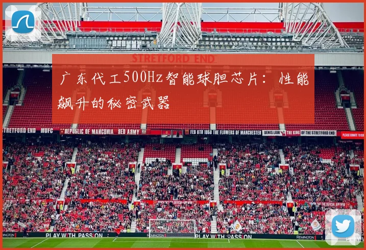 广东代工500Hz智能球胆芯片：性能飙升的秘密武器